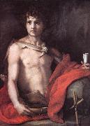 Andrea del Sarto St John the Baptist oil painting artist